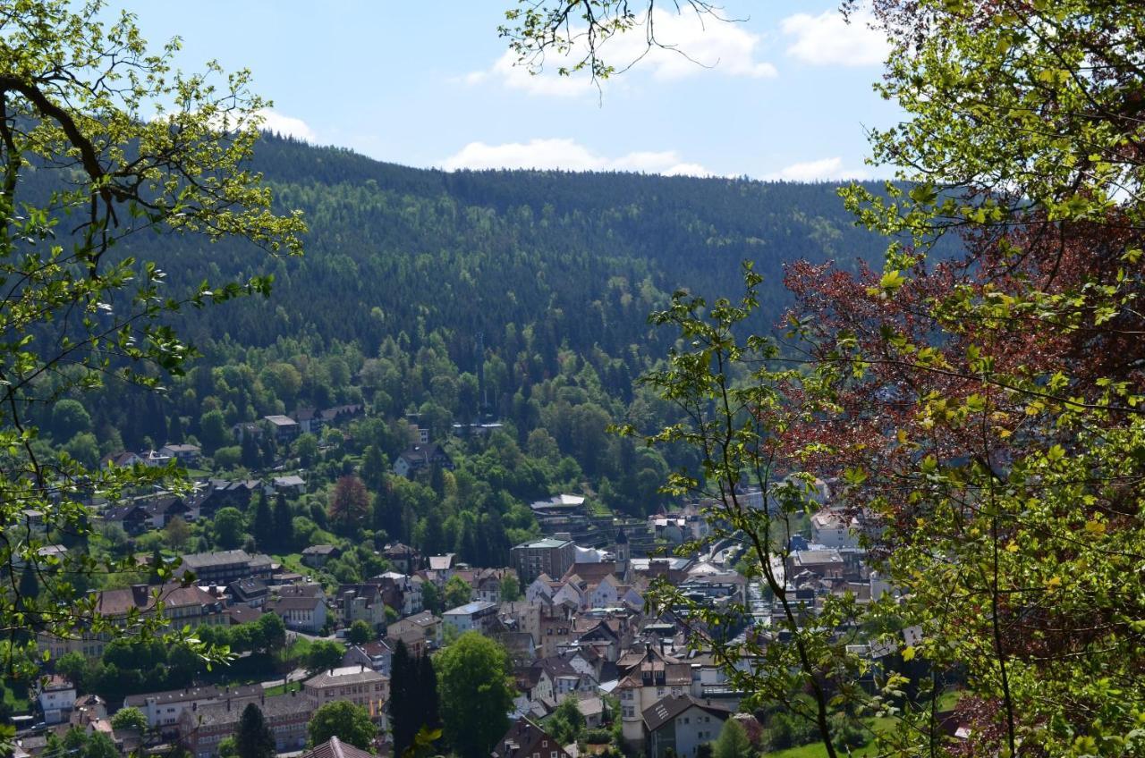 Ferienwohnung Am Kurpark Bad Wildbad Esterno foto