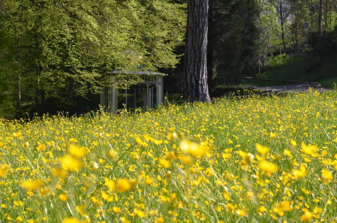 Ferienwohnung Am Kurpark Bad Wildbad Esterno foto