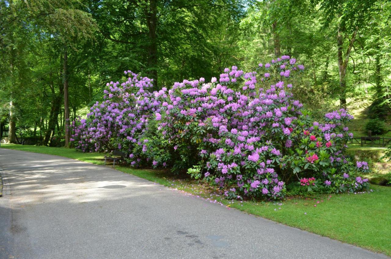 Ferienwohnung Am Kurpark Bad Wildbad Esterno foto